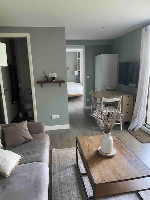 Tres Cosy En Rez De Jardin Le Plessis-Robinson