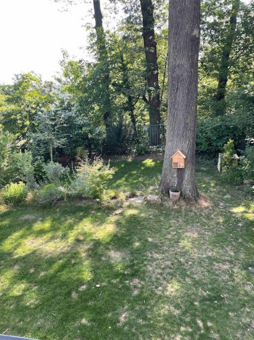 Tres Cosy En Rez De Jardin * Le Plessis-Robinson